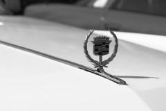 IMG_6544b