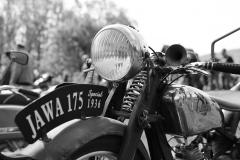 IMG_6587b