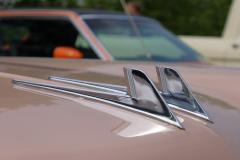 IMG_2631